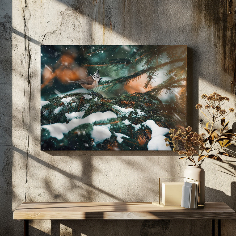 Punkig | Leinwand-Bilder