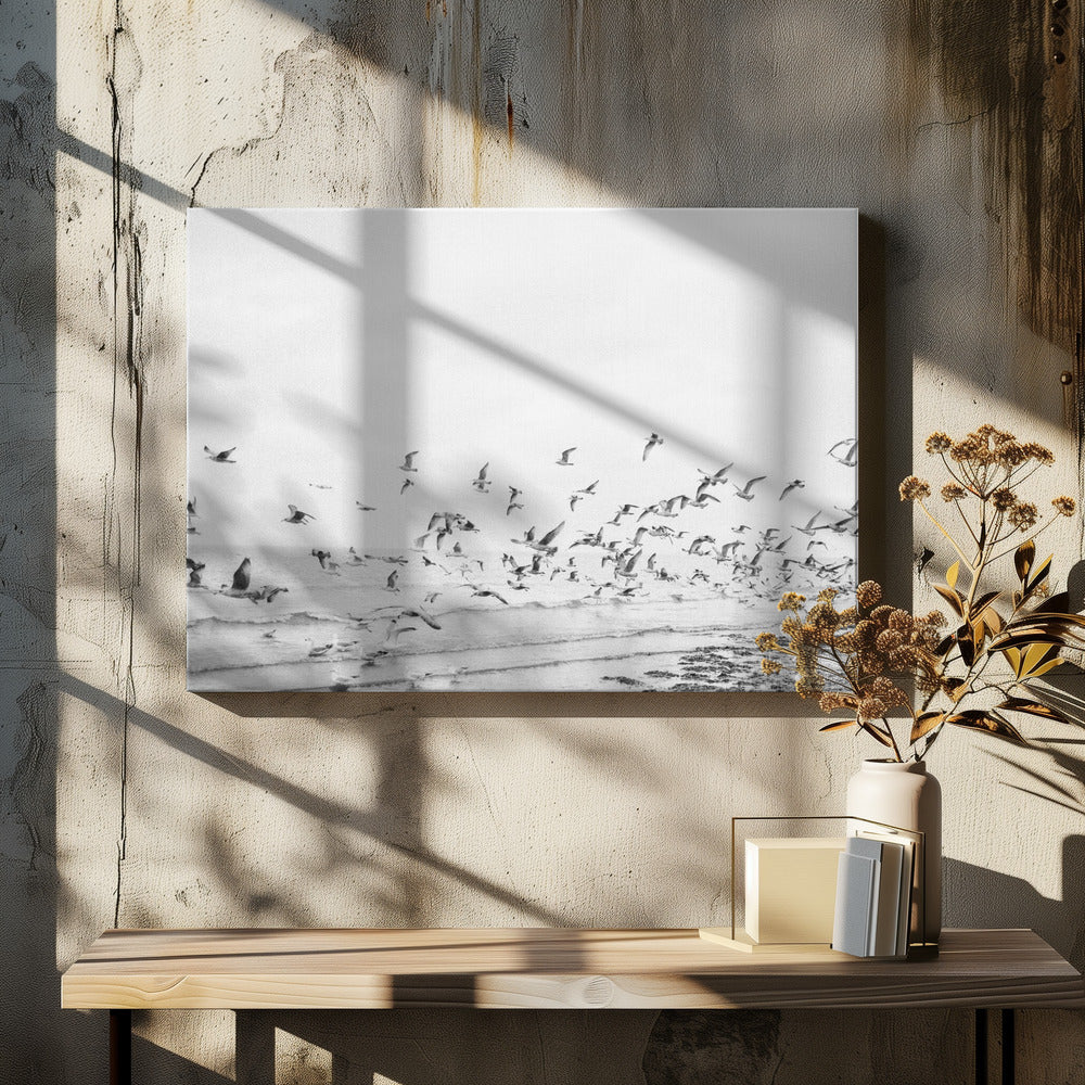 Mewy - nadmorskie czarno-białe | Wydruki na łótnie