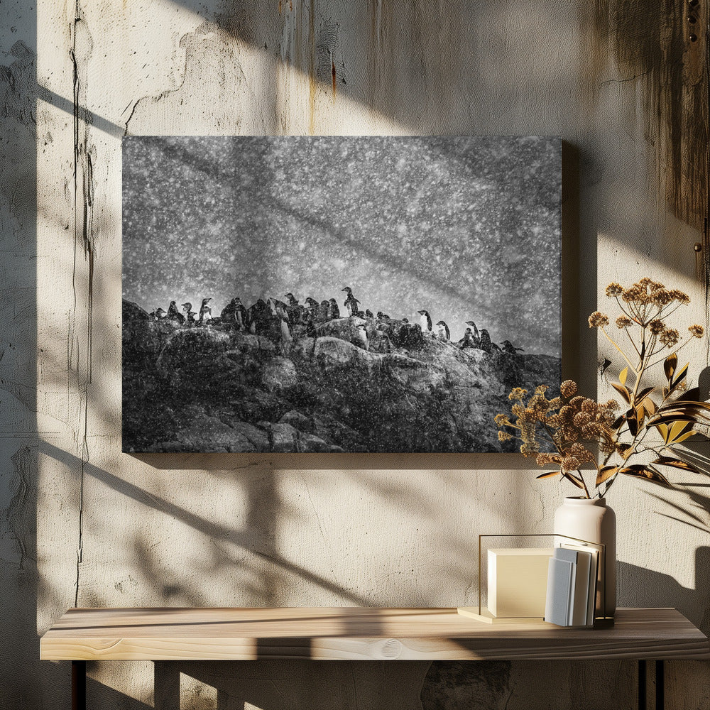 Tormenta antártica | Impresiones en Lienzo