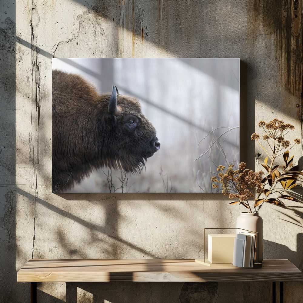 Profil Bizona | Wydruki na łótnie