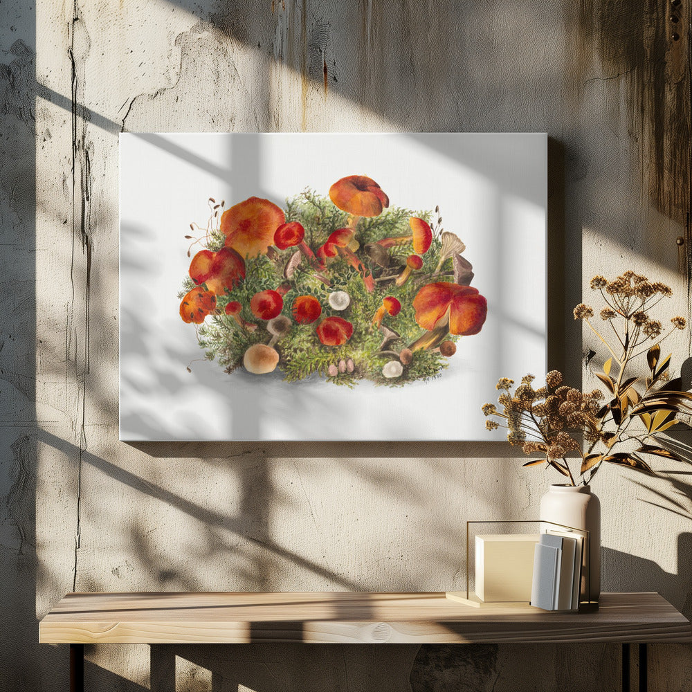 Study of Mushrooms (1880) Horizontal | Canvas