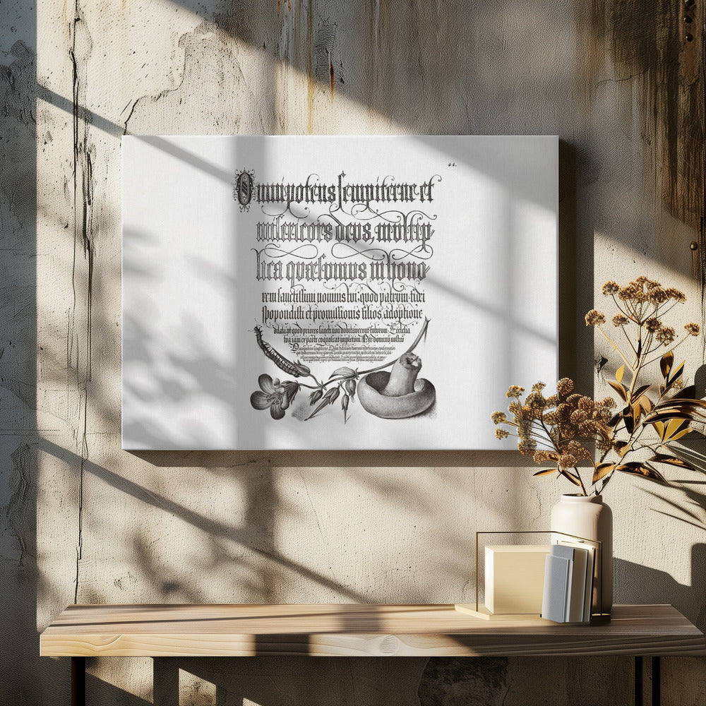 Centipede, Wood Cranesbill, and Mushroom Bw Horizontal | Canvas