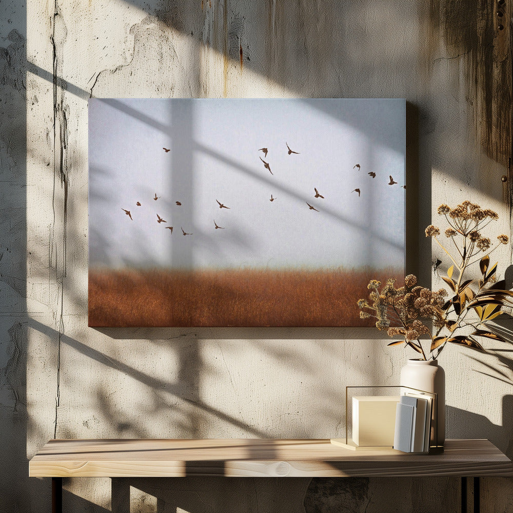 libertad | Impresiones en Lienzo