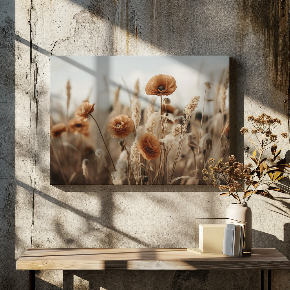 Orangefarbenes Mohnfeld | Leinwand-Bilder