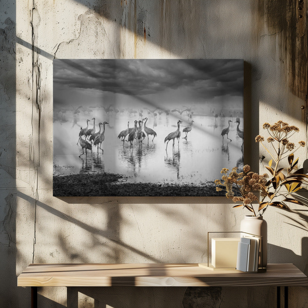 Wschód słońca nad jeziorem | Wydruki na łótnie