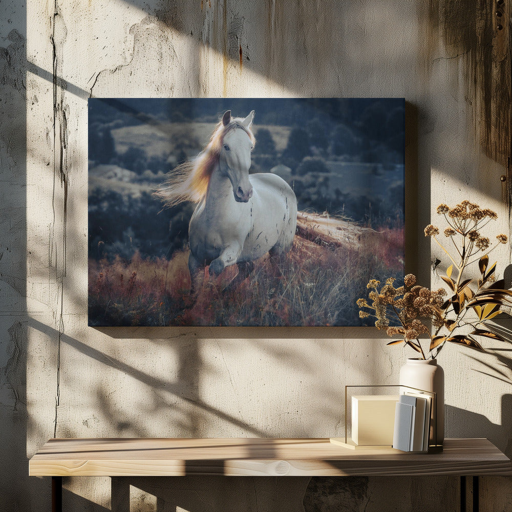 una historia corta sobre el amanecer | Impresiones en Lienzo