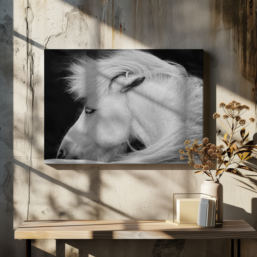 Höre dem Wind | Leinwand-Bilder