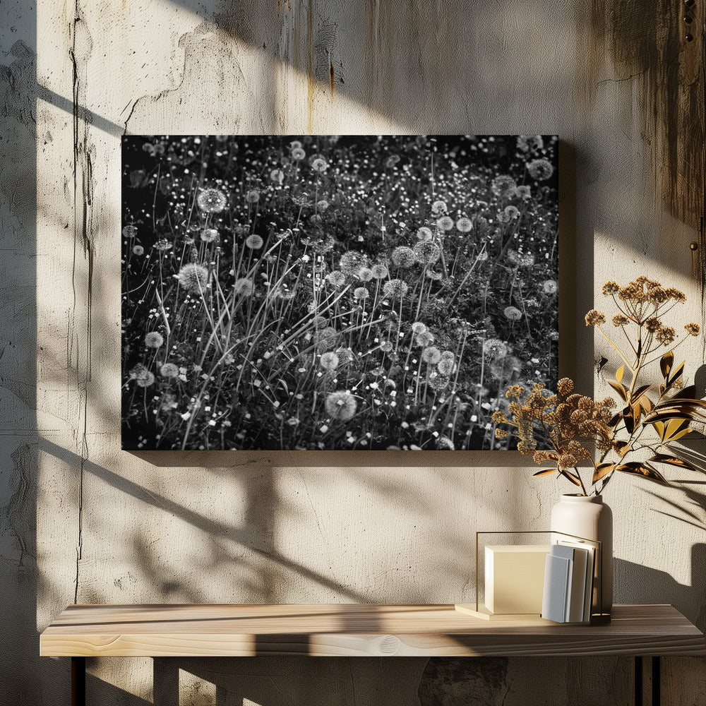 El campo de dientes de león | Impresiones en Lienzo