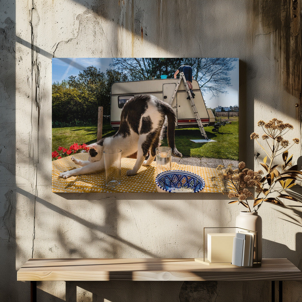 Symuluj pozy... | Wydruki na łótnie