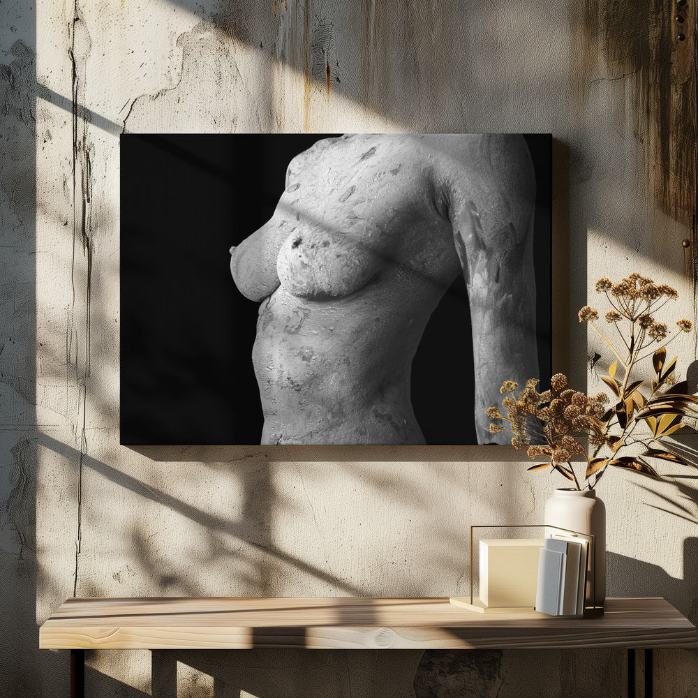 Belleza aberrante | Impresiones en Lienzo