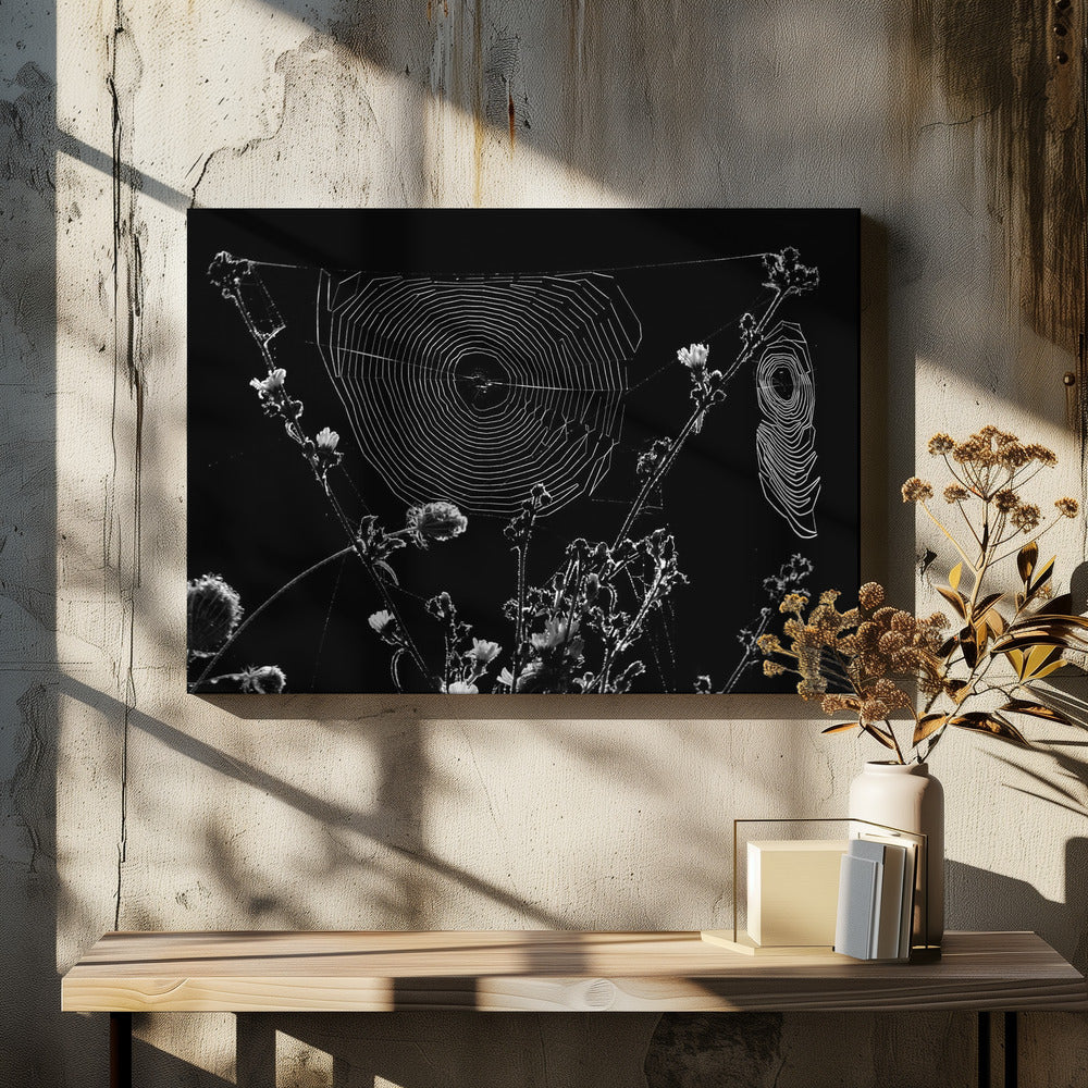 Spinnennetze | Leinwand-Bilder