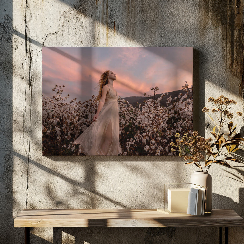Sonnenuntergang im Baumwollfeld | Leinwand-Bilder