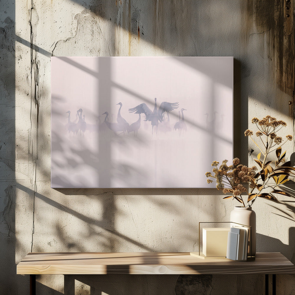 Kraniche im Morgennebel | Leinwand-Bilder