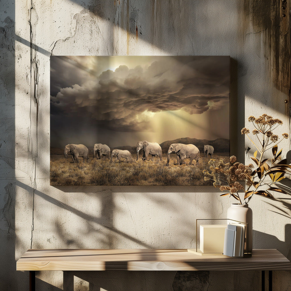 Elefantes libres | Impresiones en Lienzo