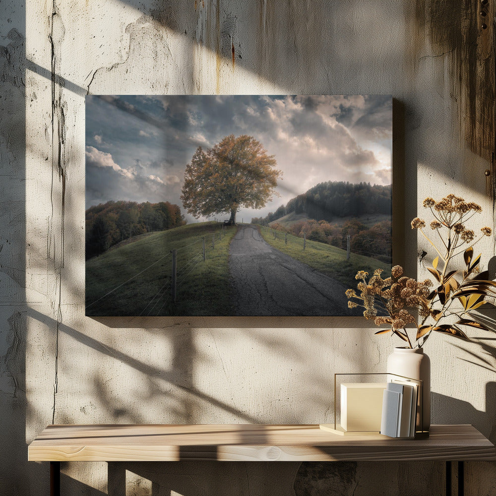 Una y otra vez | Impresiones en Lienzo