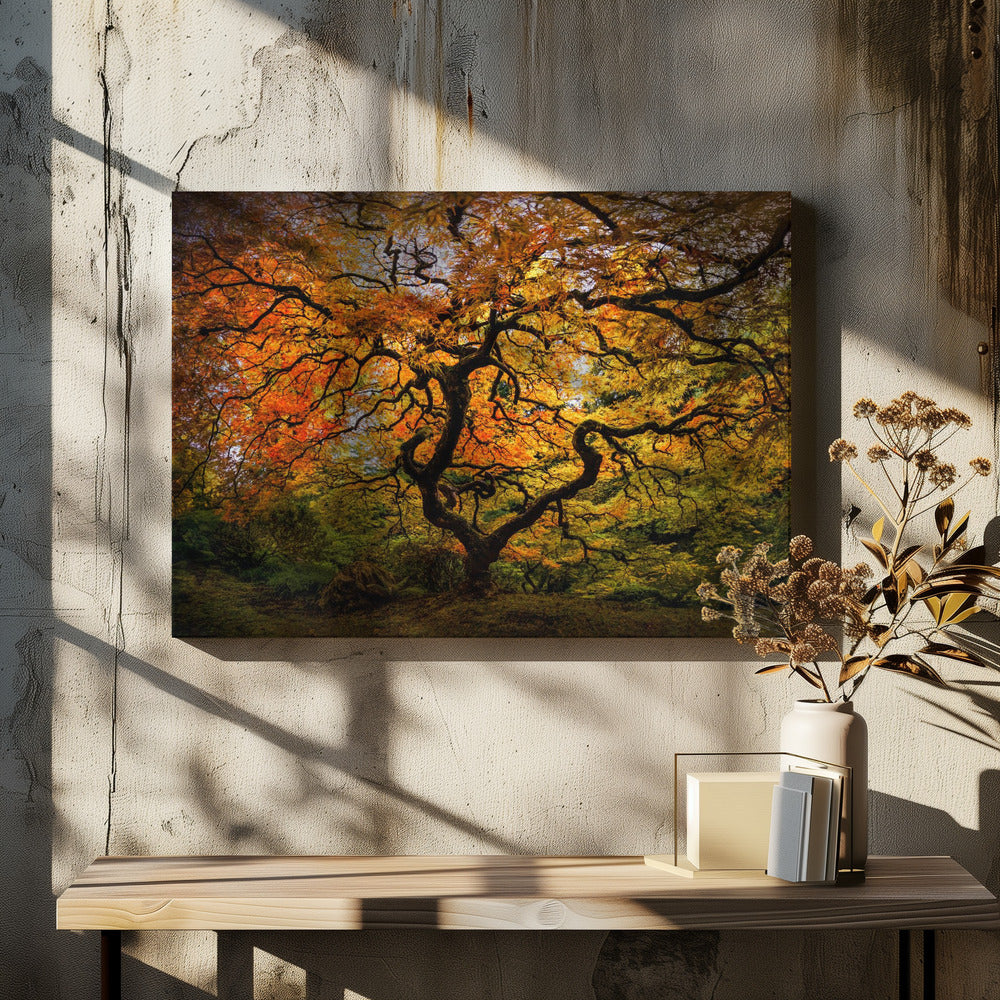 The maple Tree | Canvas