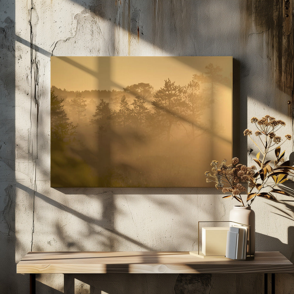 20220809 Dsf8002 1 | Canvastaulut