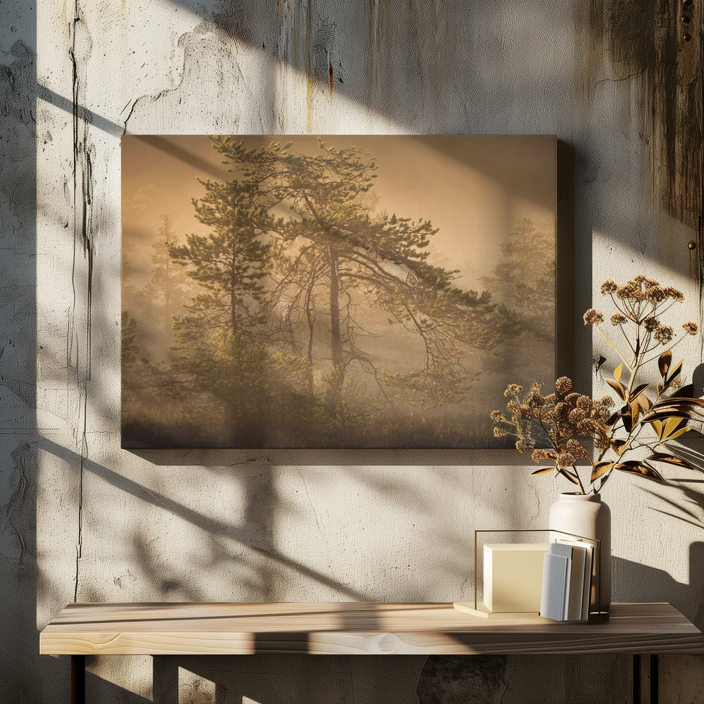 20220809 Dsf8003 1 | Canvastaulut