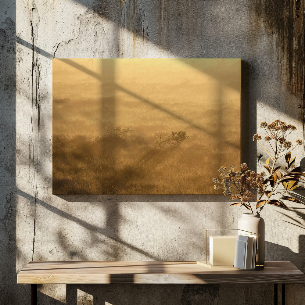 20220809 Dsf8027 1 | Canvastaulut