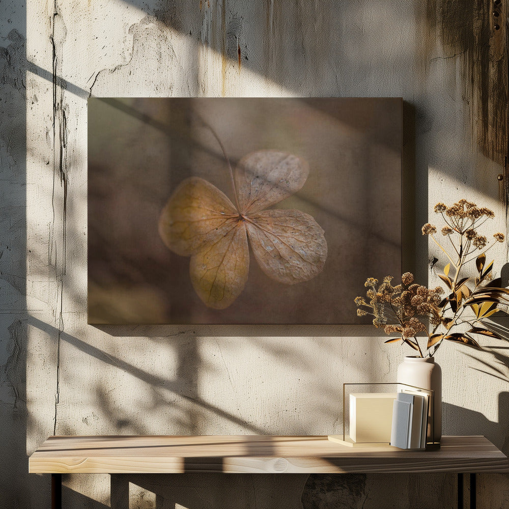 remains of the day | Canvas