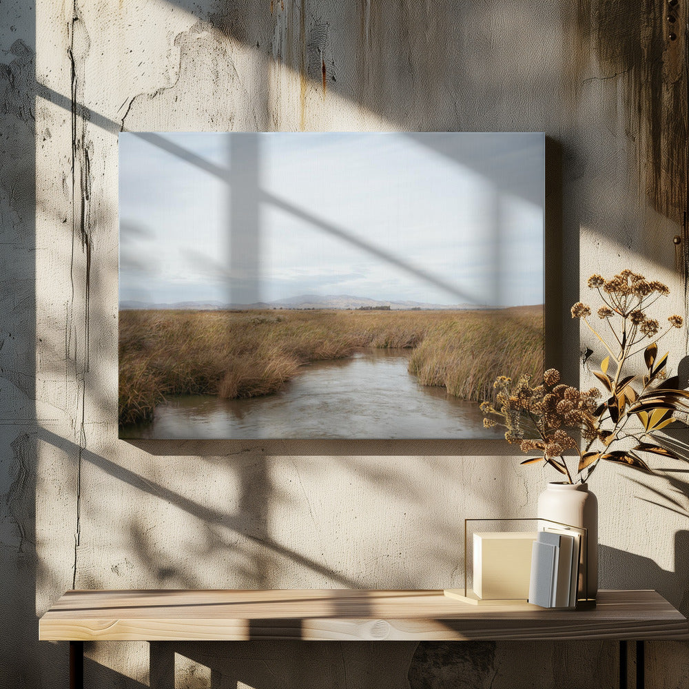 Marshland No.1 | Canvas
