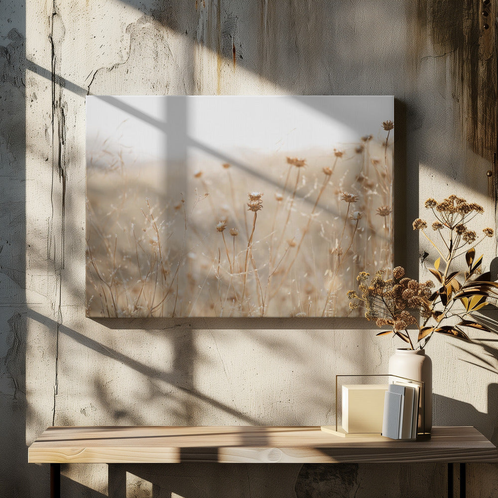 winter thistle no.2 | Canvas