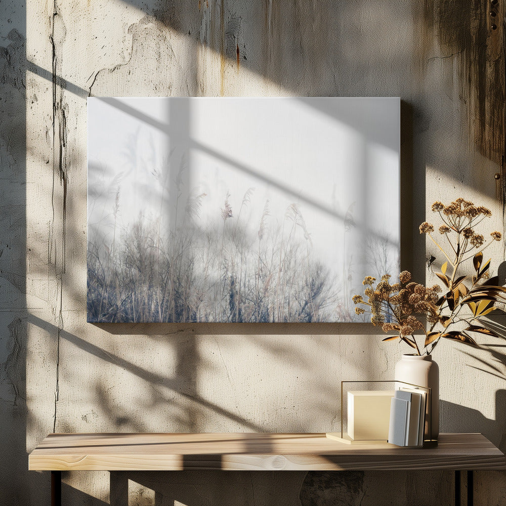 Ruoko- ja ruohomaisema | Canvastaulut