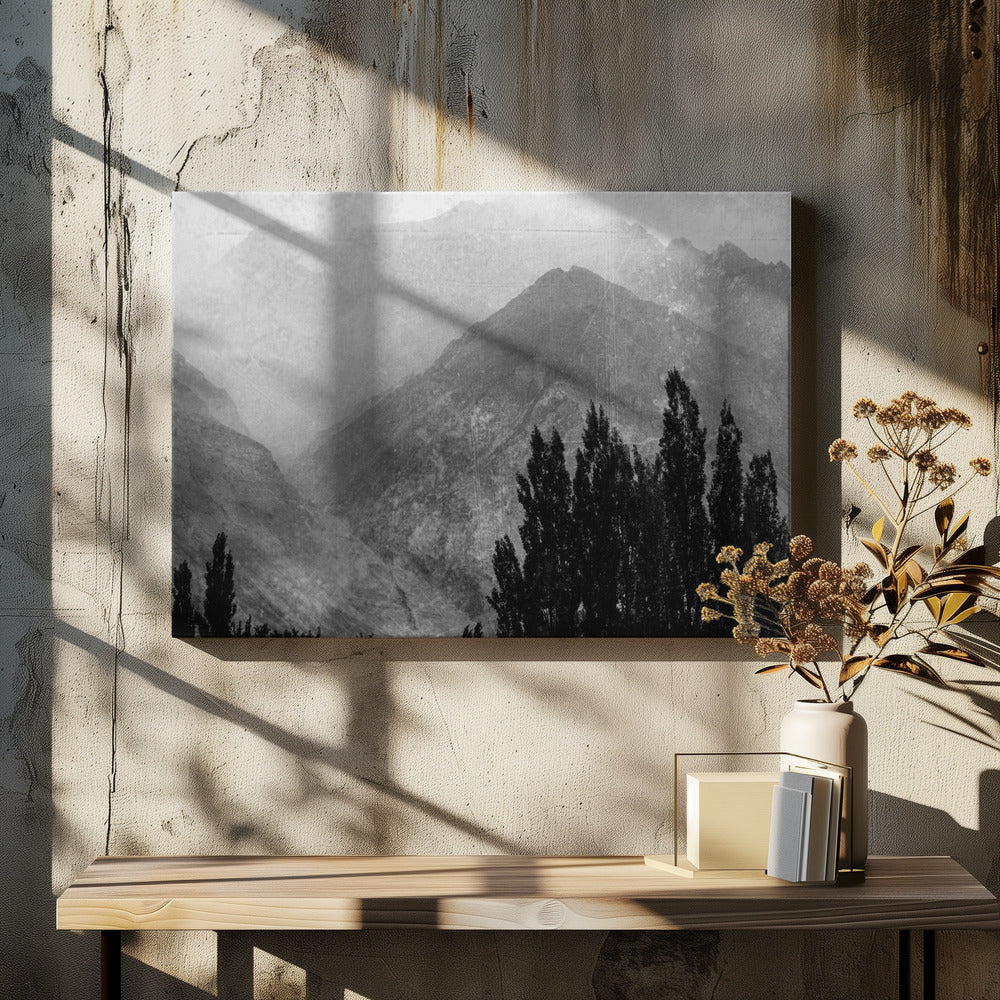 Trees in the mountains | Canvas