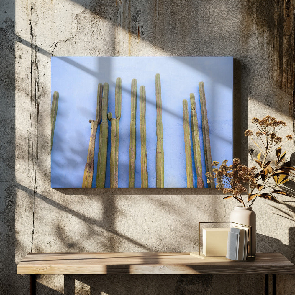 Korkeat kaktukset sinisellä | Oaxaca Meksikon matka | Canvastaulut