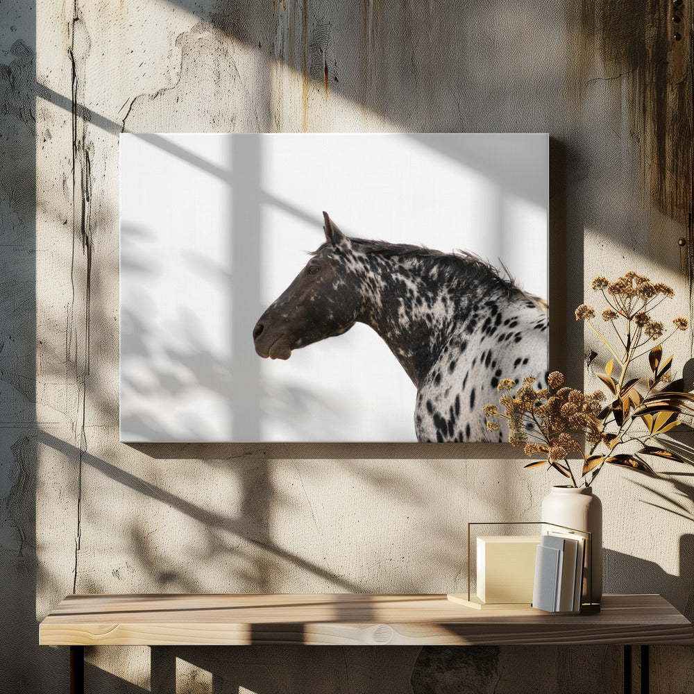 Andromeda 4 | Canvastaulut