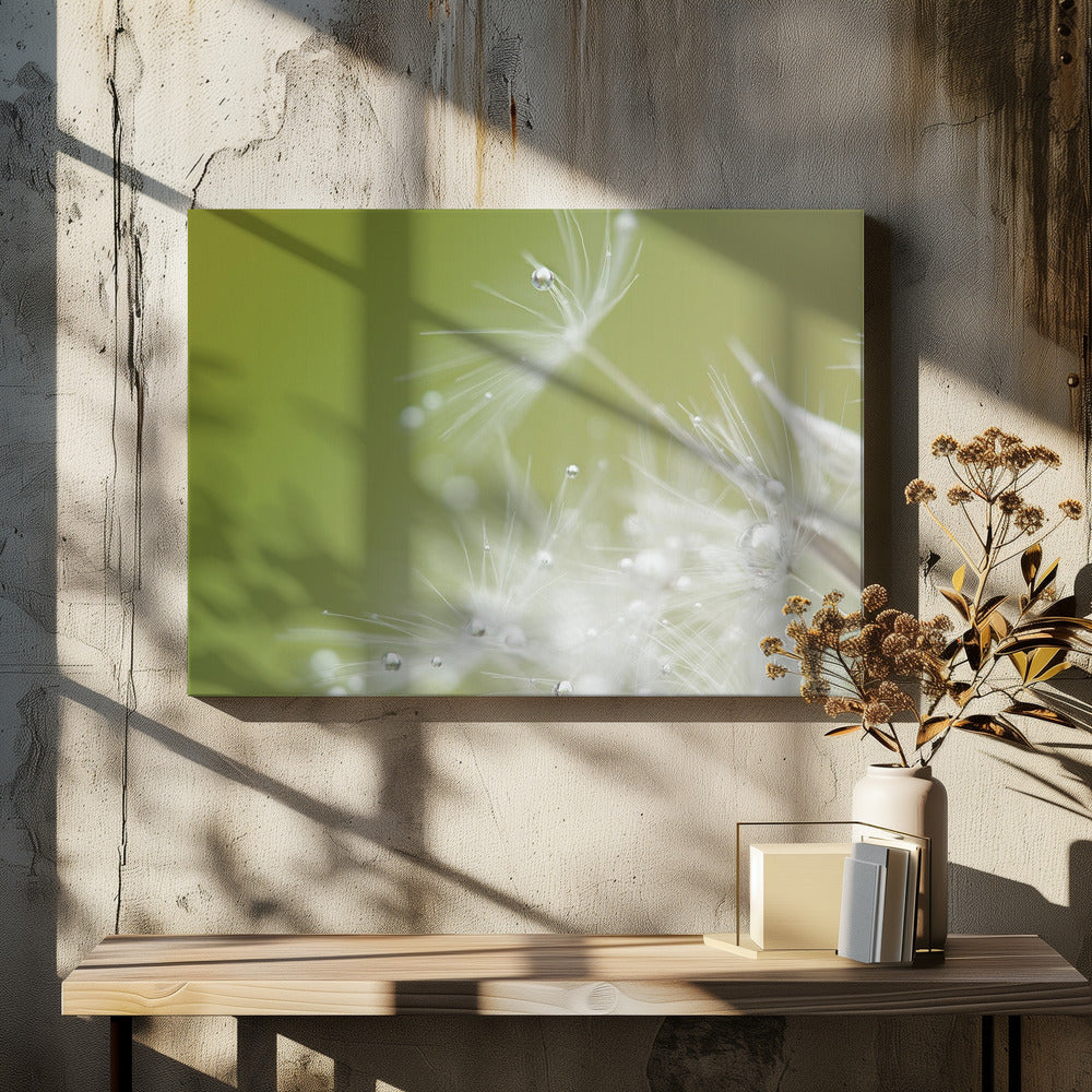 Grøn | Lærredsbilleder