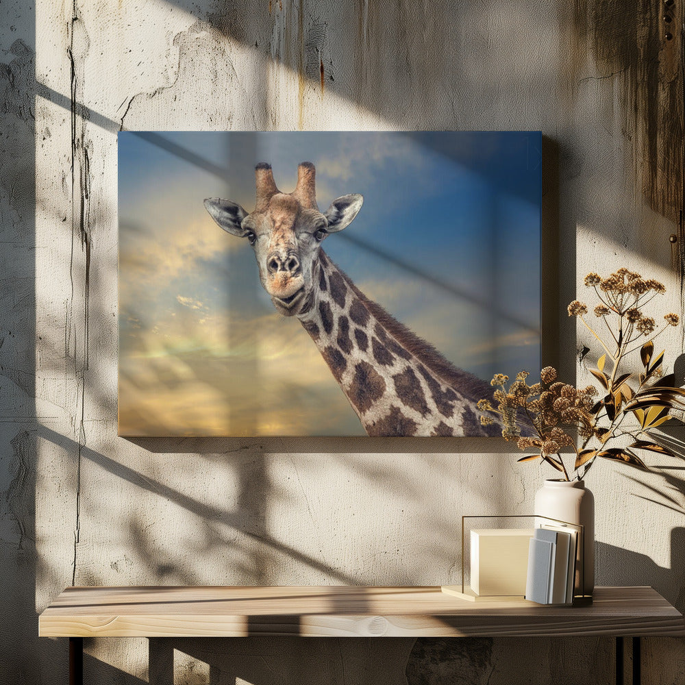 przyjazny olbrzym | Wydruki na łótnie