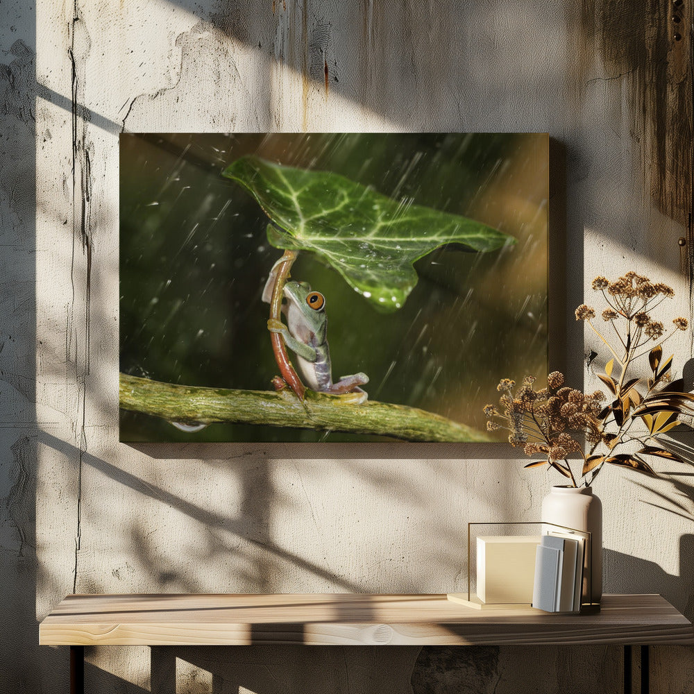 Ohh Nee :( Het regent | Canvasprints