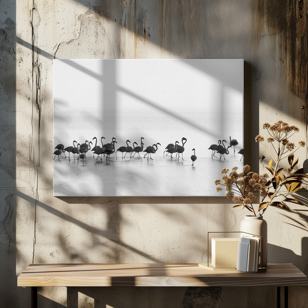 Flamingos | Canvas