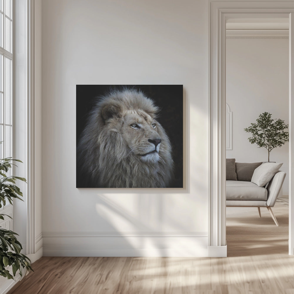 Ylpeä leijona | Canvastaulut