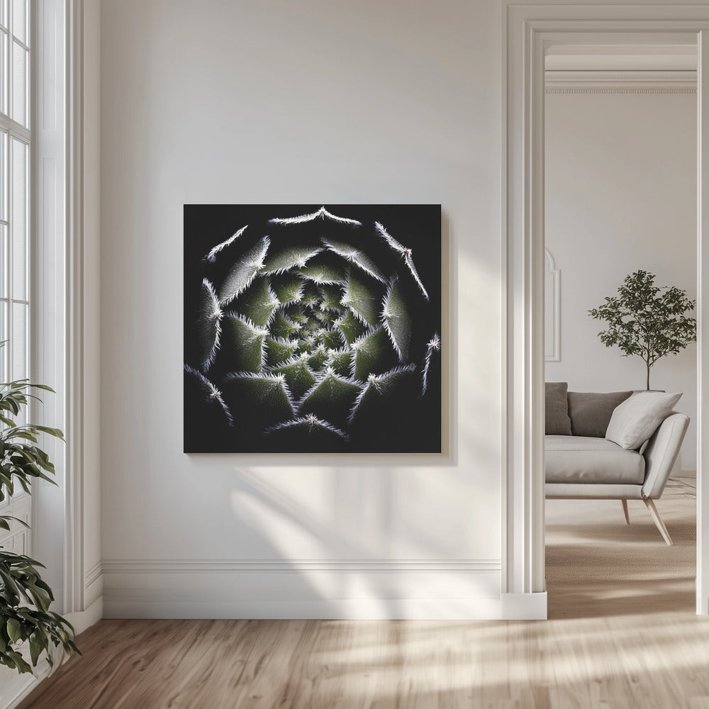 Sempervivum Rosette | Canvas