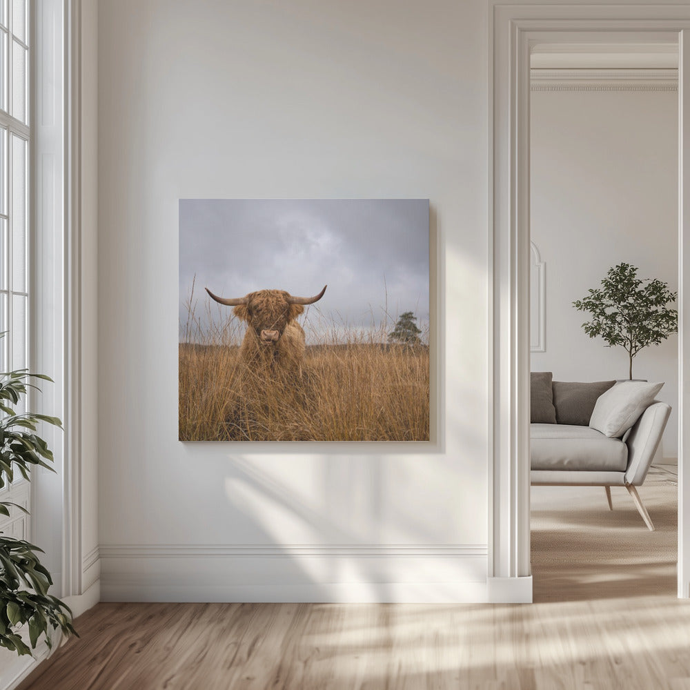 It wasn't me | Canvas