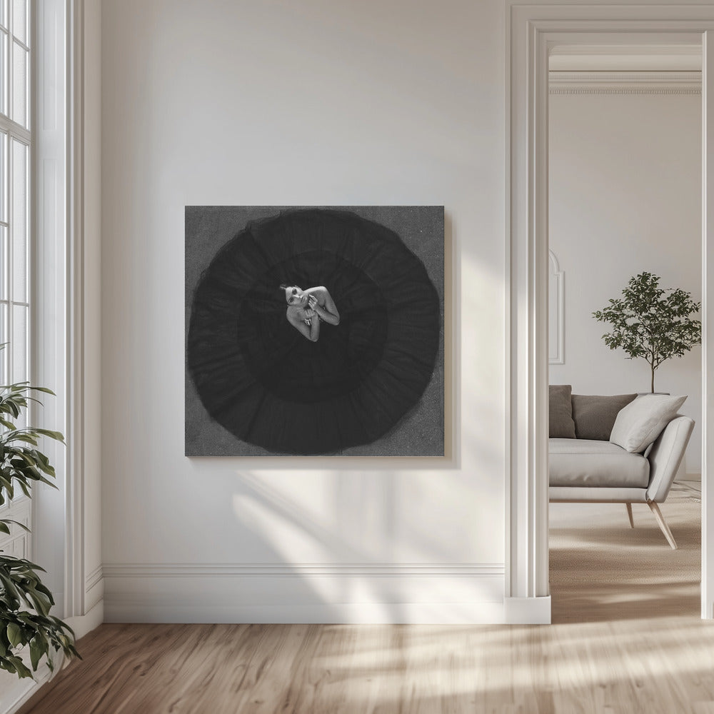 Musta joutsen | Canvastaulut