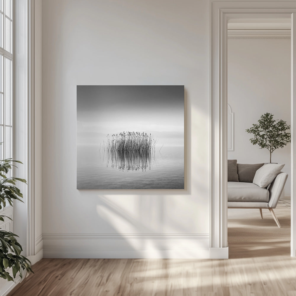 Mustavalkoinen hiljaisuus | Canvastaulut