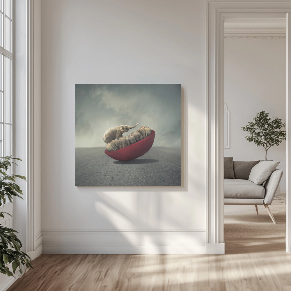 Life is a balance | Canvas