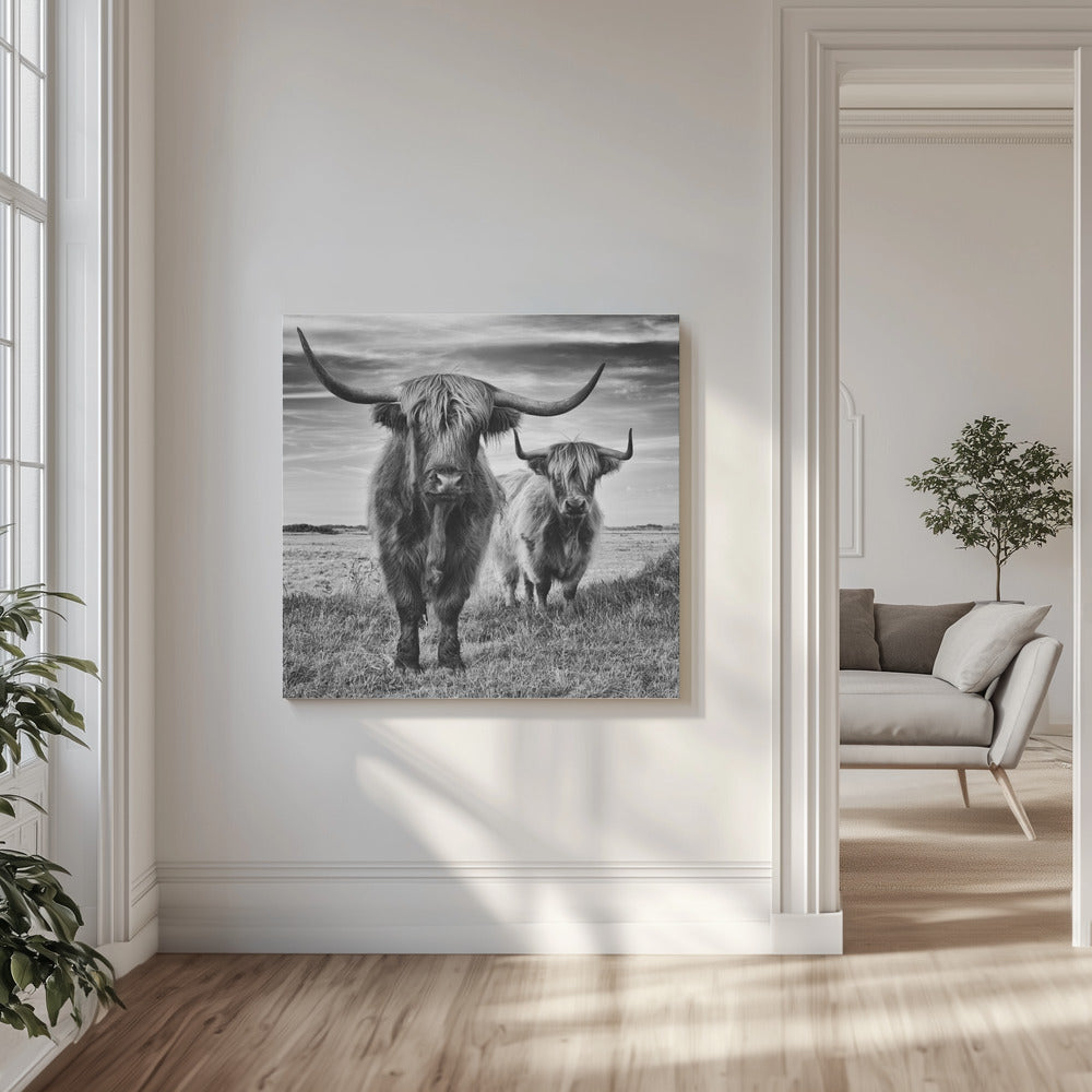 Ylämaat | Canvastaulut