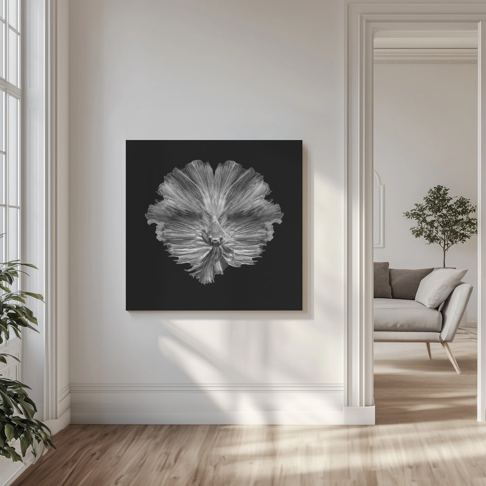 Hännän kukka | Canvastaulut