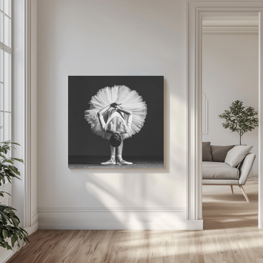 Ballerina tunnilla | Canvastaulut