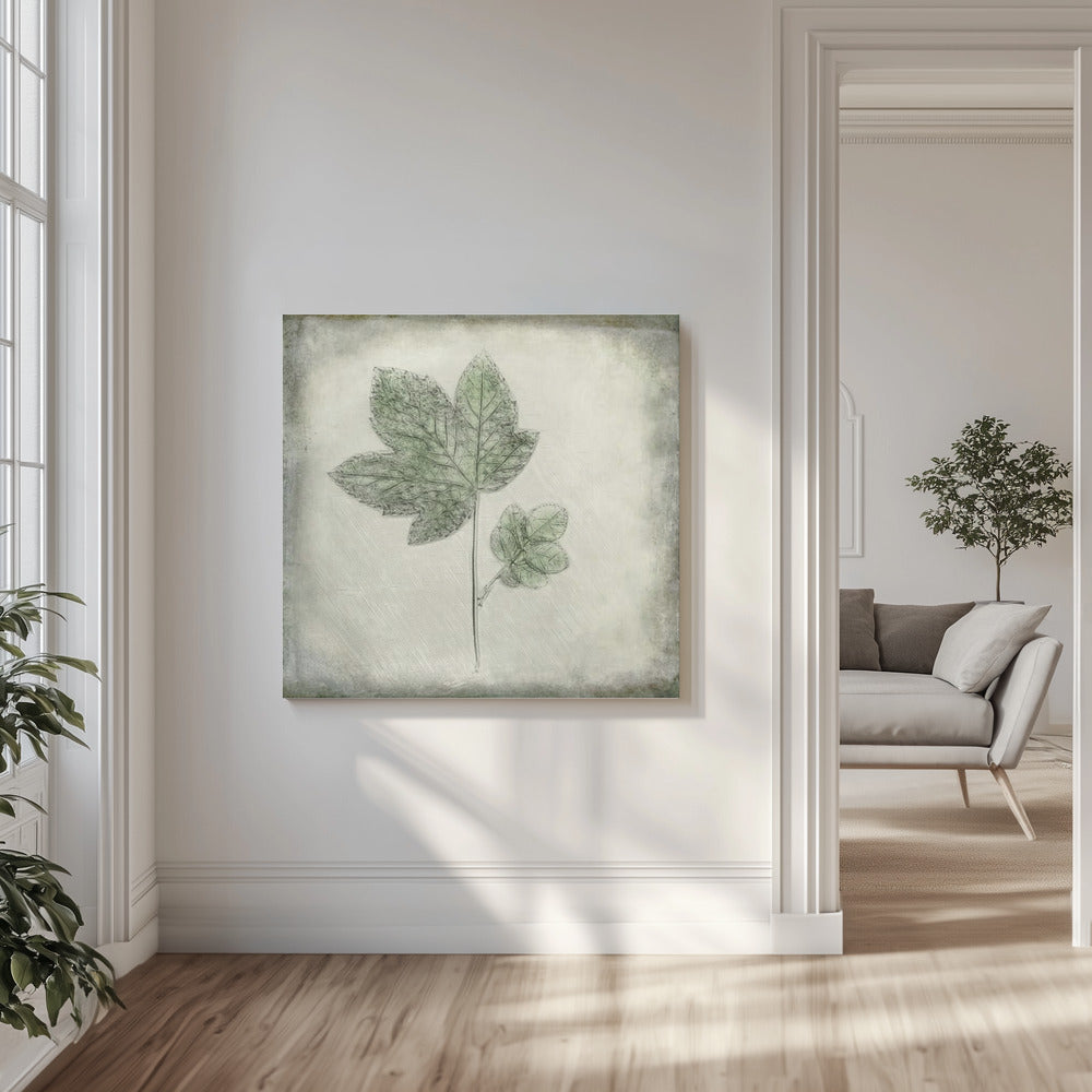 Before the Decay | Canvas