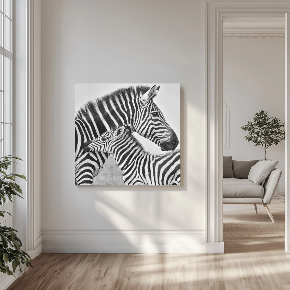 Rakkaus | Canvastaulut