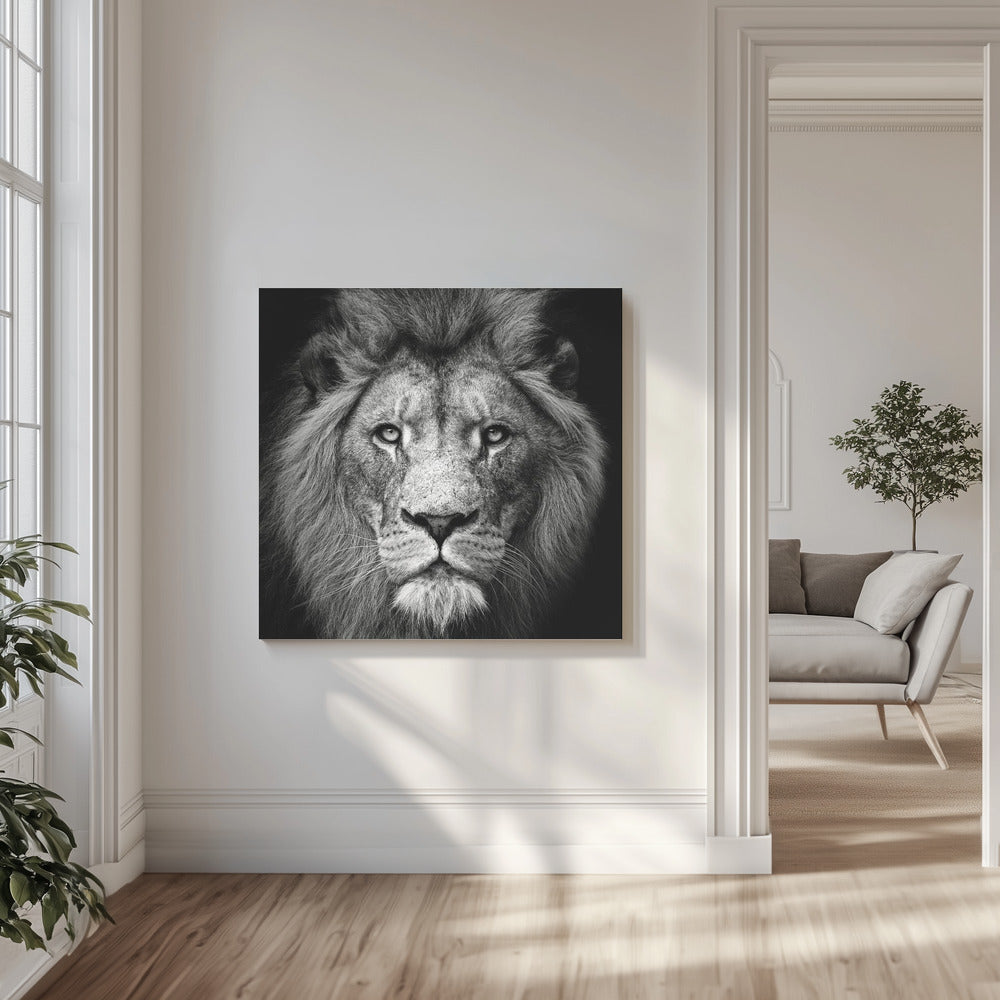 Tuijota minua alas #3 | Canvastaulut