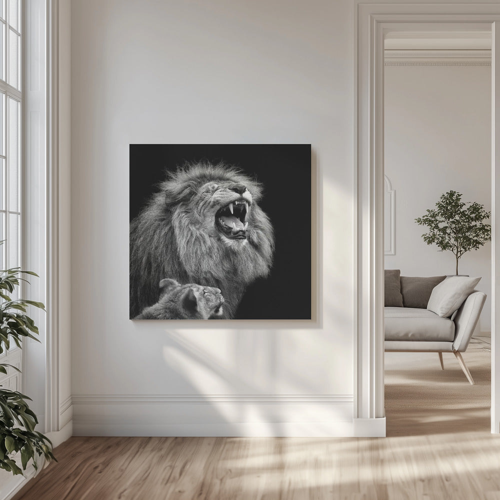 Hör zu, Baby | Leinwand-Bilder