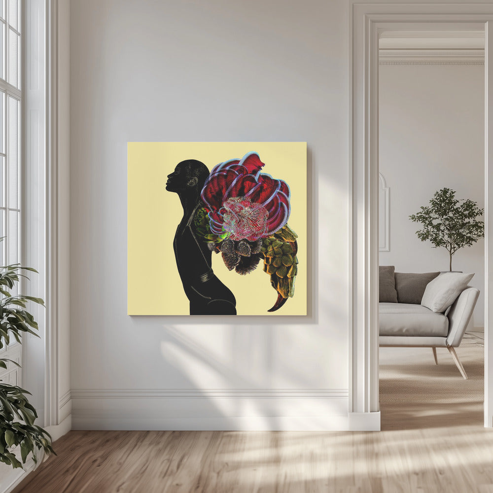 Phönix | Leinwand-Bilder