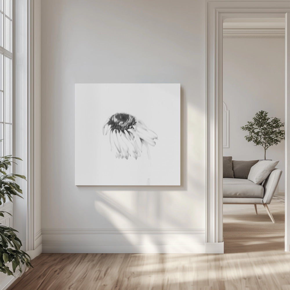 Moody flower | Canvas