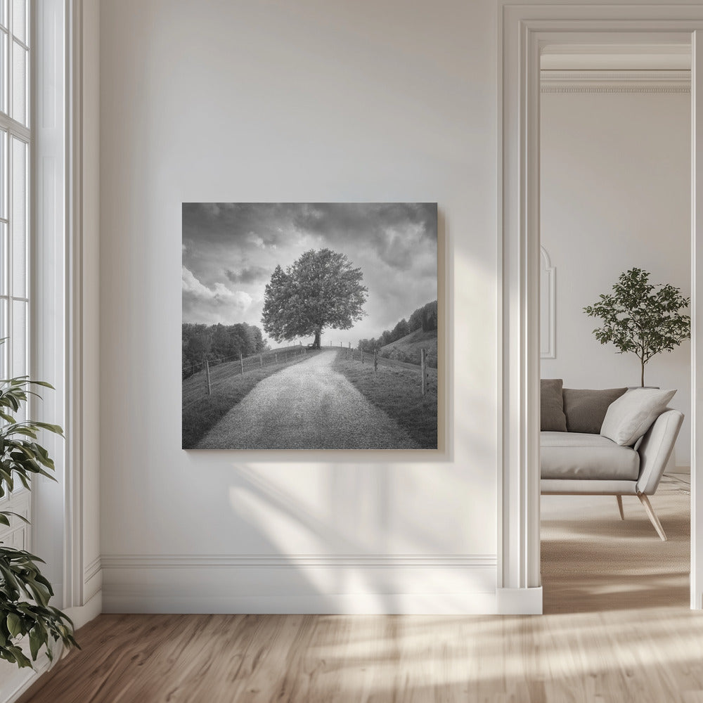Beneath Black Skies | Canvas